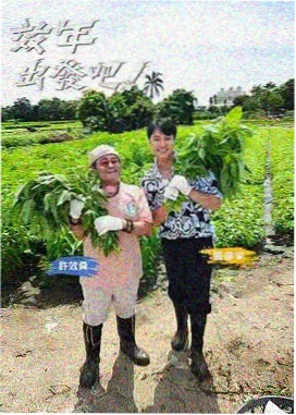 香蕉视频免费网站-花儿与少年